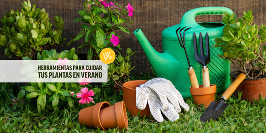 Plantas de verano que aguantan el calor sin muchos cuidados