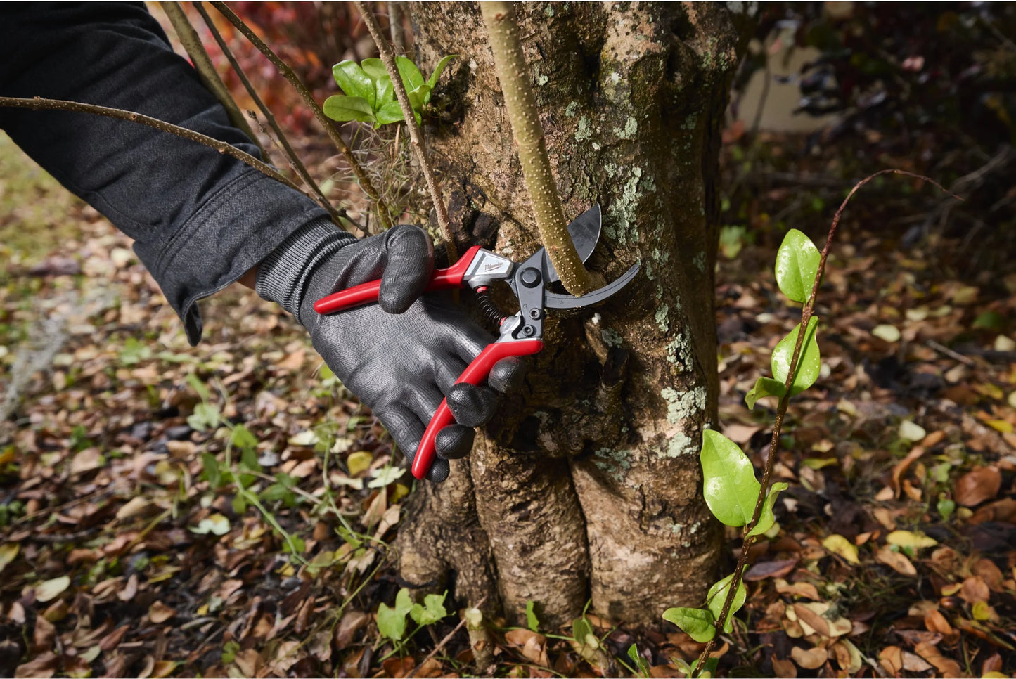 Tijera de poda de Bypass 25mm Milwaukee