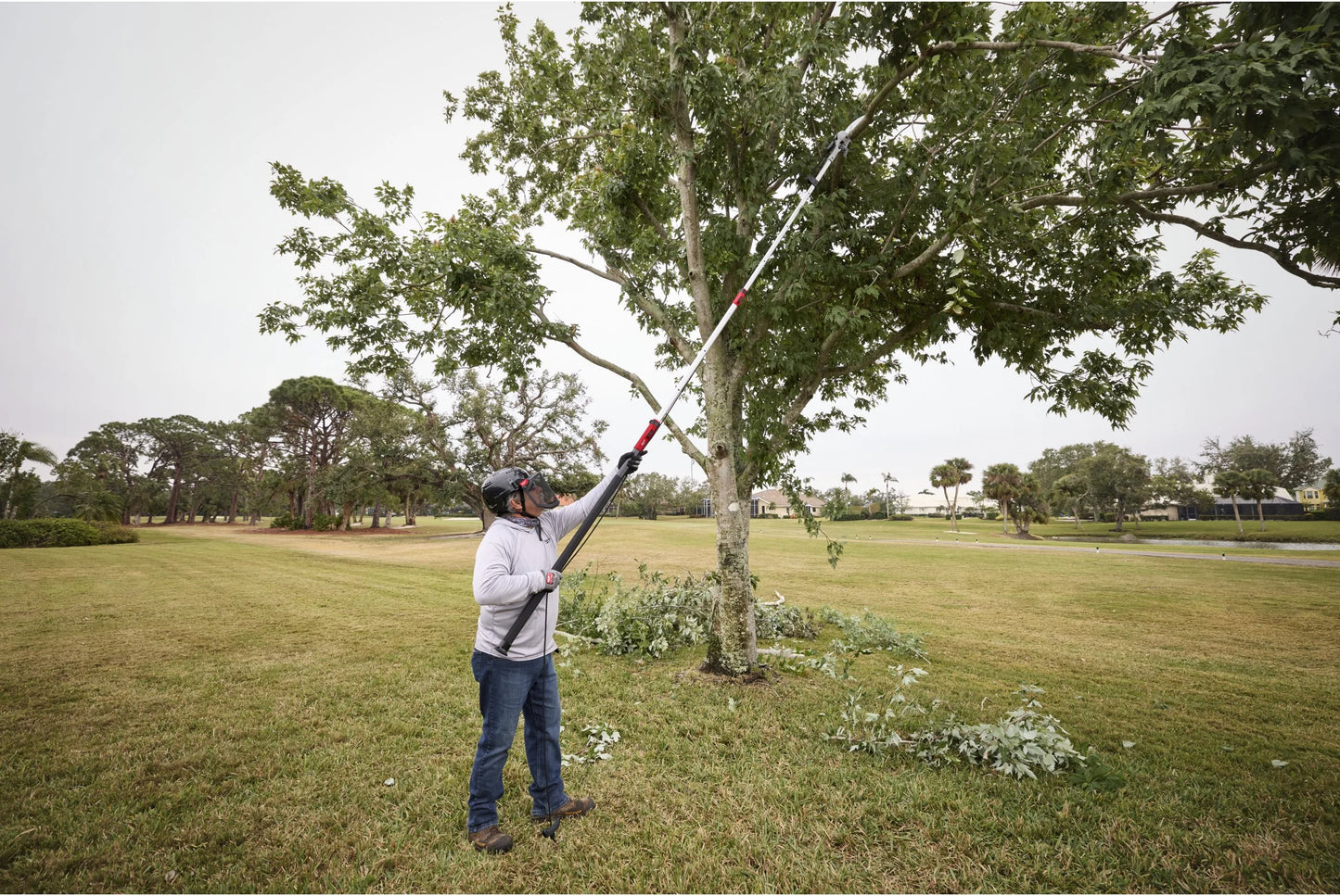 Milwaukee Pole Saw with Pruner