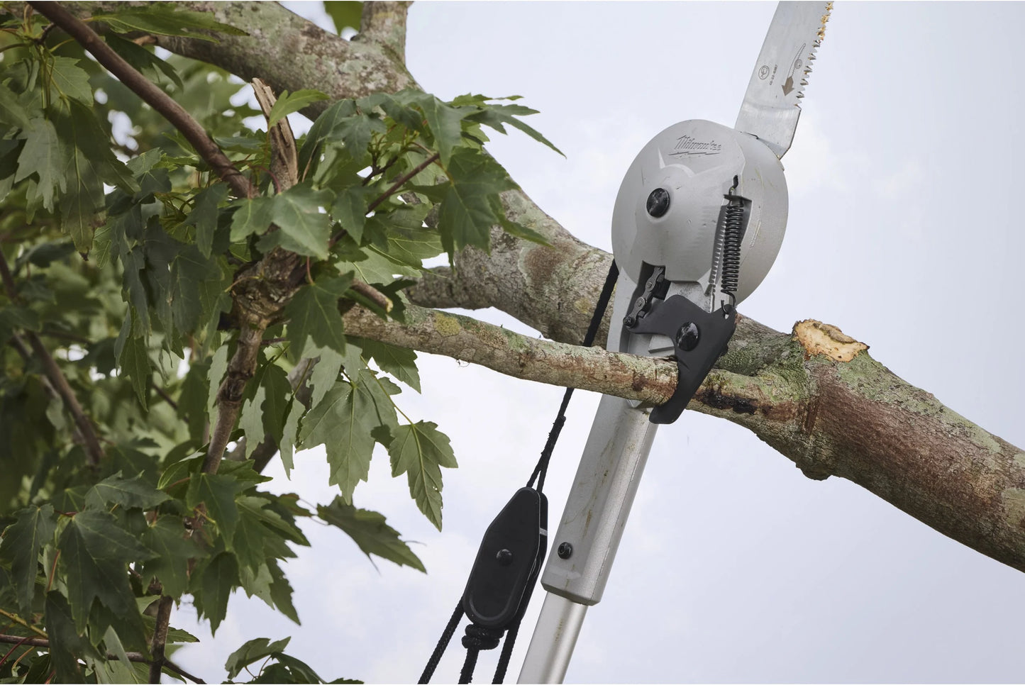 Milwaukee Pole Saw with Pruner